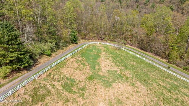 drone / aerial view of a forest