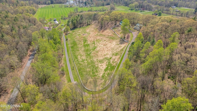 aerial view of sparsely populated area featuring a heavily wooded area