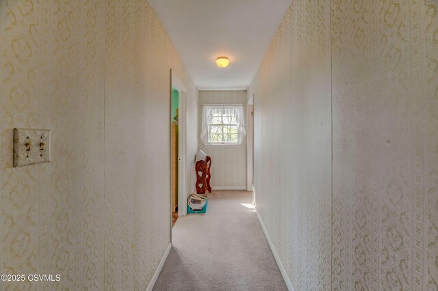 corridor with carpet