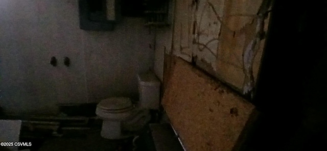 bathroom with toilet