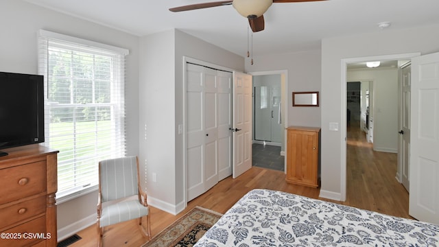 bedroom with light wood-type flooring, multiple windows, and baseboards