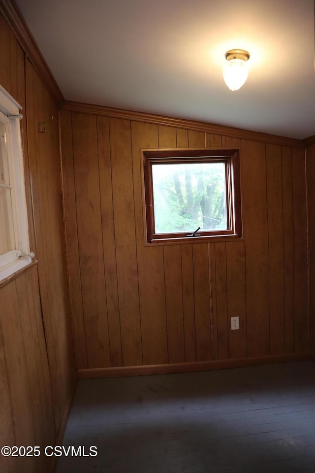 spare room with wood walls and wood finished floors