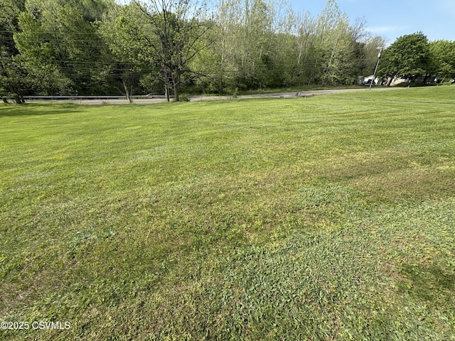 34 Fowlersville Rd, Bloomsburg, PA 17815 - view of green lawn
