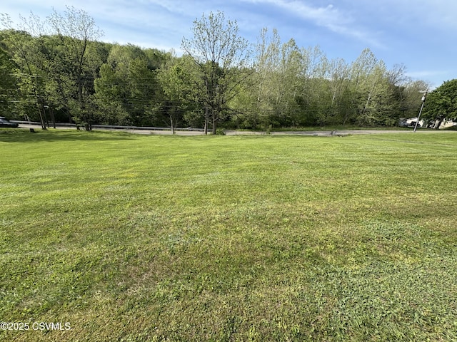 34 Fowlersville Rd, Bloomsburg, PA 17815 - view of grassy yard
