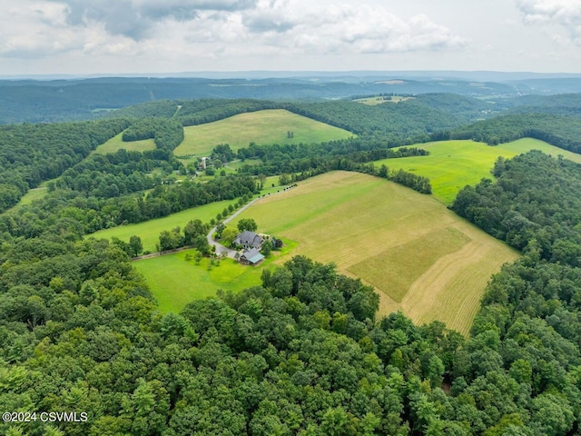 207 Klinger Hill Rd, Benton, PA 17814 - overview of rural landscape
