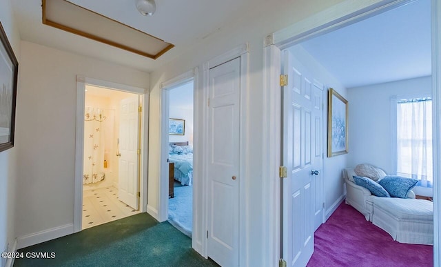 207 Klinger Hill Rd, Benton, PA 17814 - hall with carpet and baseboards
