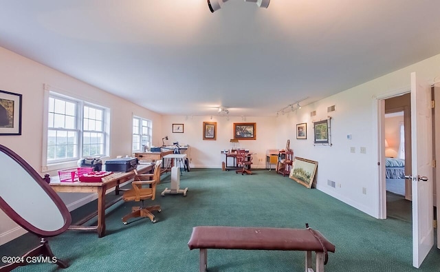 207 Klinger Hill Rd, Benton, PA 17814 - exercise room featuring carpet flooring, track lighting, and baseboards