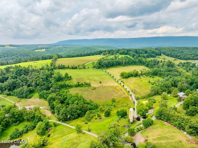 207 Klinger Hill Rd, Benton, PA 17814 - overview of rural landscape