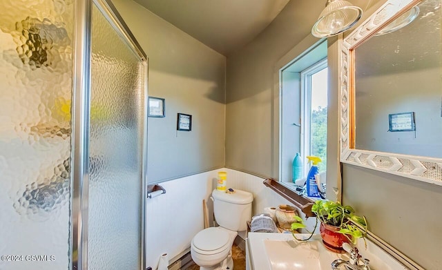 207 Klinger Hill Rd, Benton, PA 17814 - bathroom featuring toilet, a shower with shower door, lofted ceiling, and a baseboard radiator