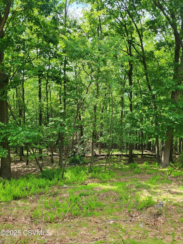 Mountain Rd, Shamokin, PA 17872 - photo 1