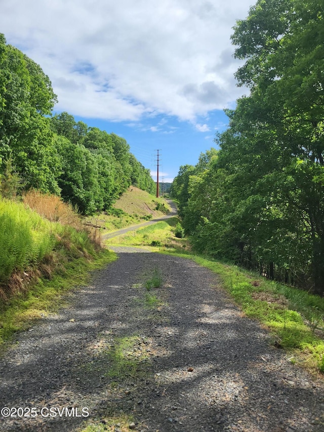 Mountain Rd, Shamokin, PA 17872 - photo 2