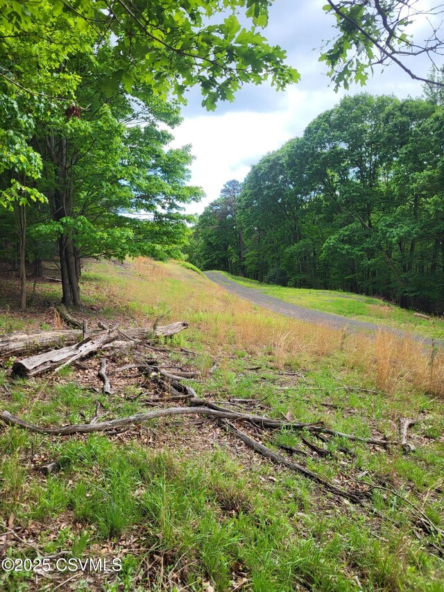 Mountain Rd, Shamokin, PA 17872 - photo 7