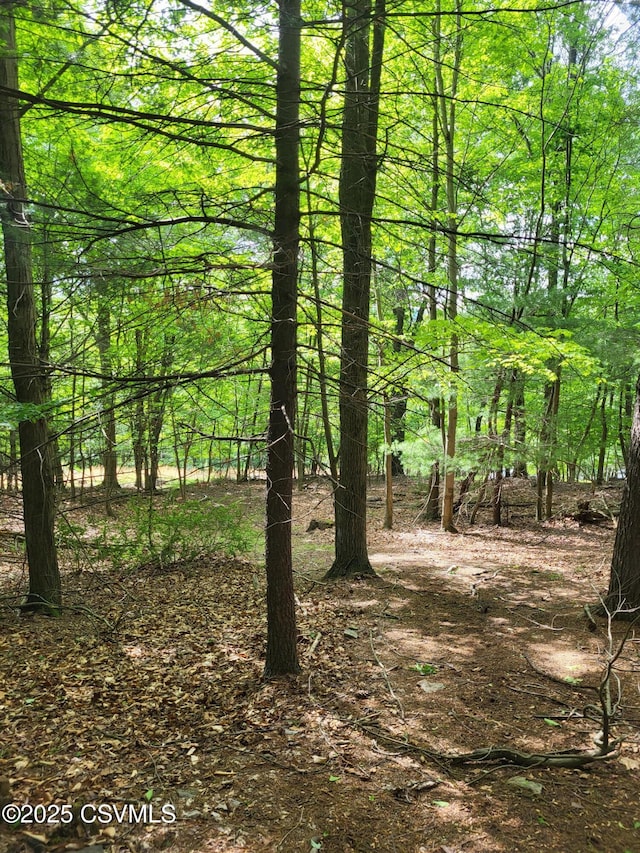 Mountain Rd, Shamokin, PA 17872 - photo 8