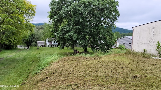 4523 State Route 61, Paxinos, PA 17860 - view of yard