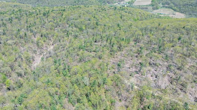 LOT4 Patton Hill Rd, Millville, PA 17846