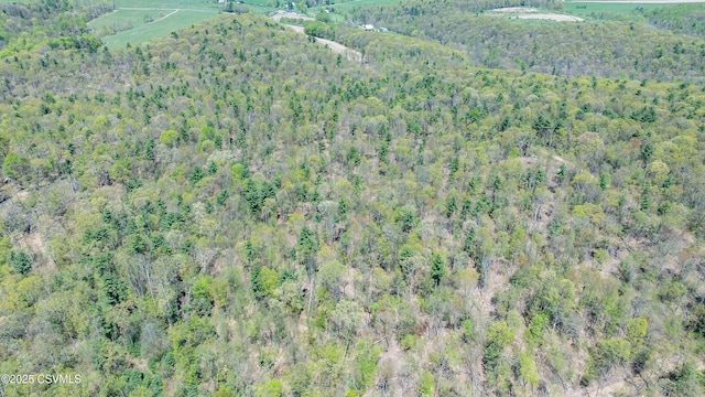 LOT4 Patton Hill Rd, Millville, PA 17846