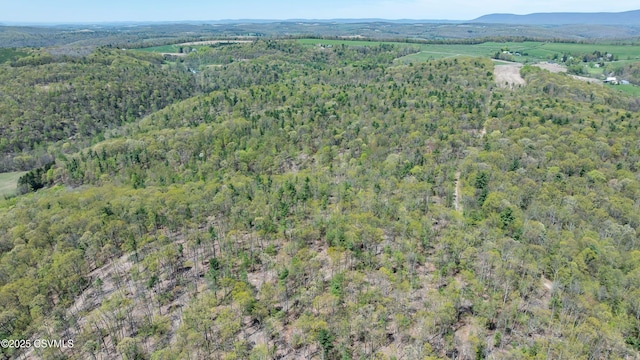 LOT4 Patton Hill Rd, Millville, PA 17846