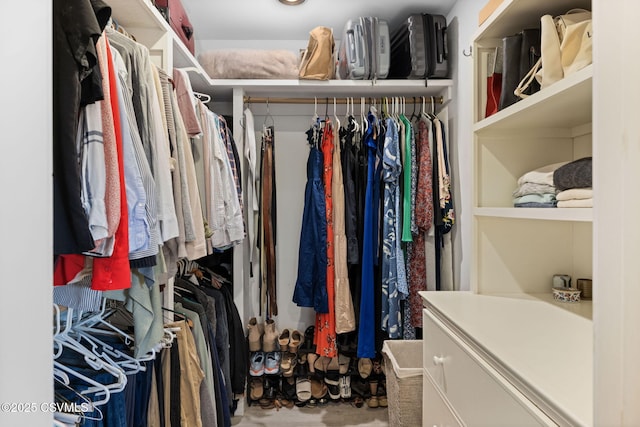 view of walk in closet