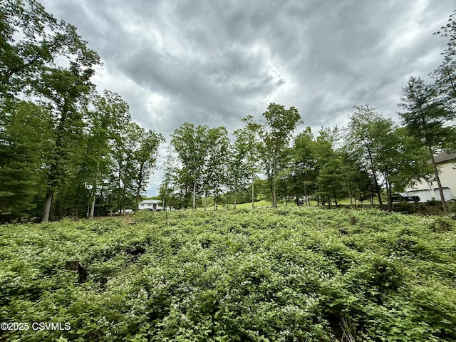 Roadarmel Ln, Paxinos, PA 17860
