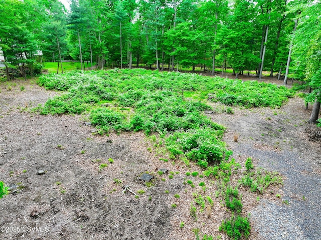 Roadarmel Ln, Paxinos, PA 17860