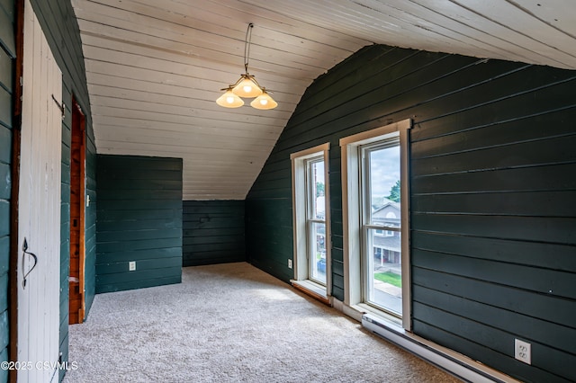 206 Orange St, Selinsgrove, PA 17870 - additional living space featuring lofted ceiling, wood walls, carpet flooring, a baseboard radiator, and wood ceiling