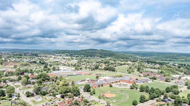 206 Orange St, Selinsgrove, PA 17870 - bird's eye view