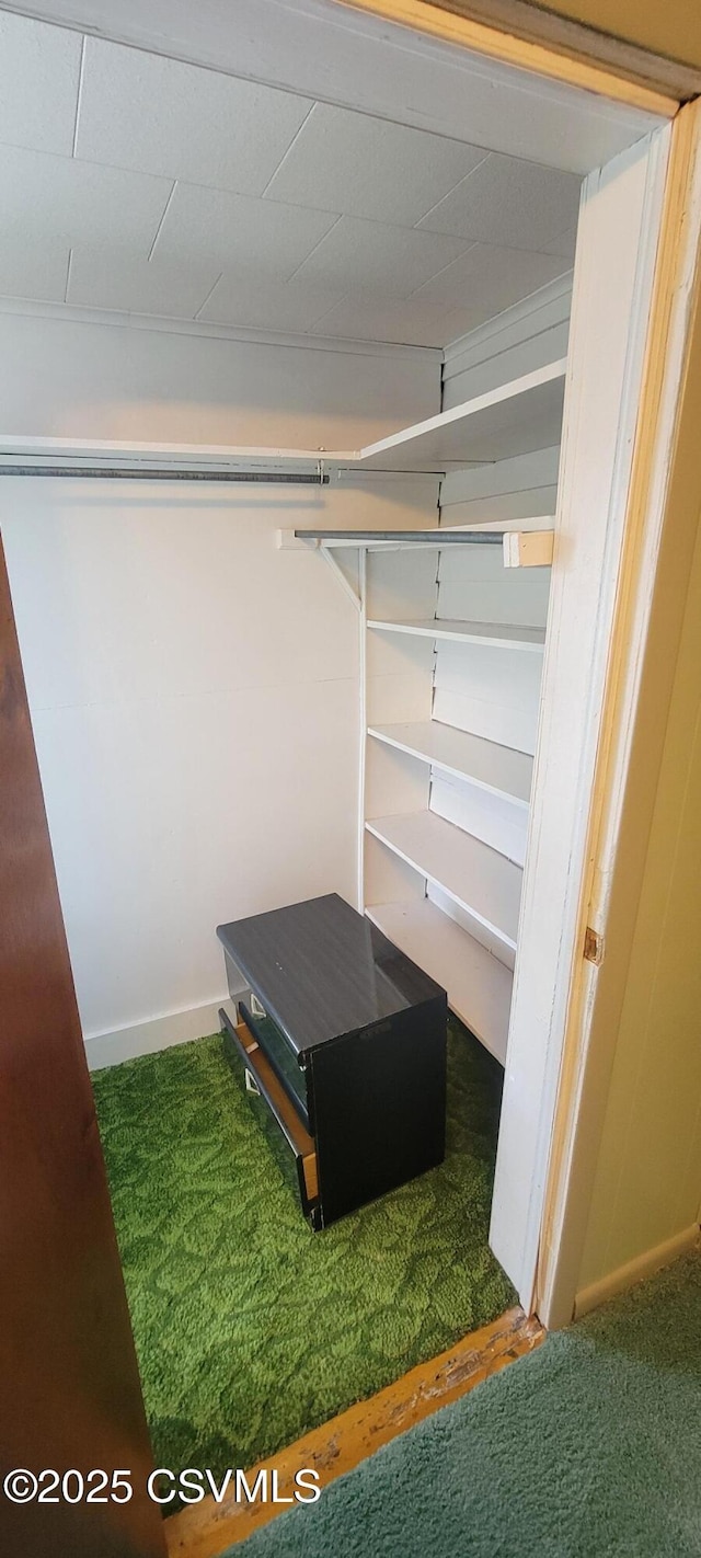 walk in closet featuring carpet flooring