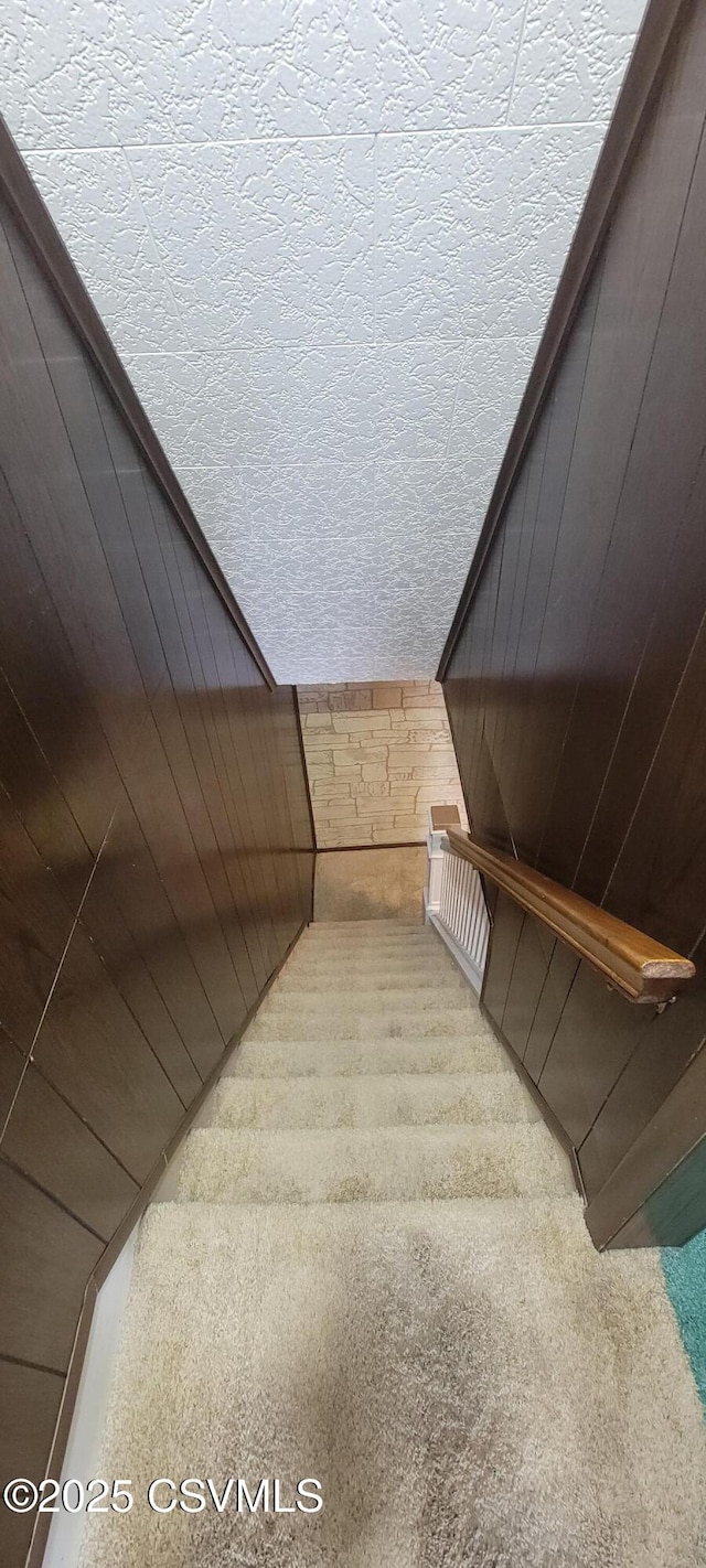 staircase featuring carpet flooring