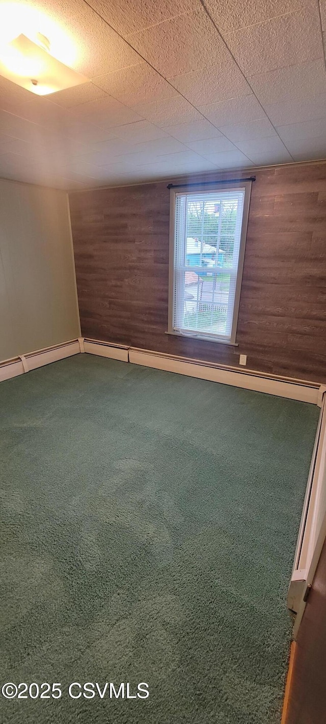 spare room featuring wood walls and carpet flooring