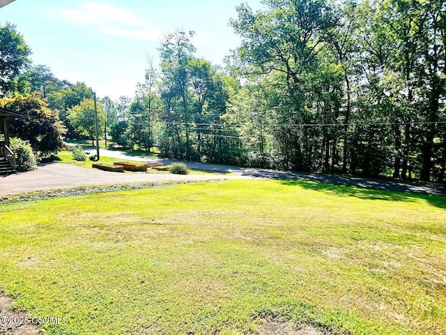 43 Red Oak Dr, Danville, PA 17821 - view of grassy yard