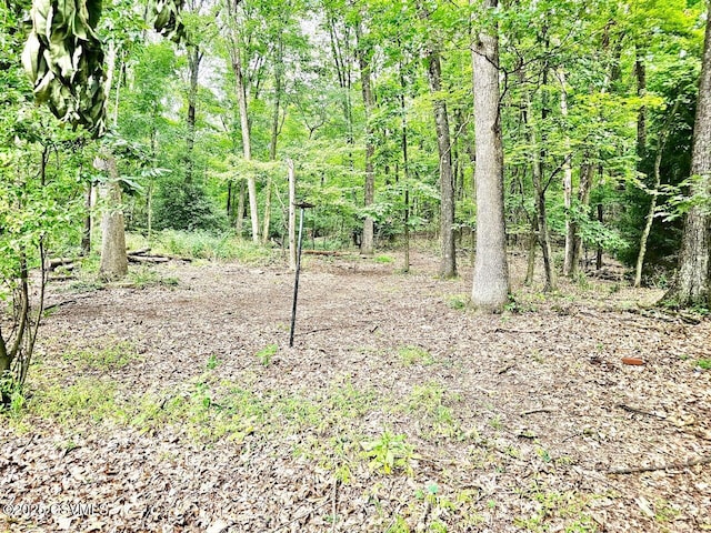 43 Red Oak Dr, Danville, PA 17821 - view of wooded area