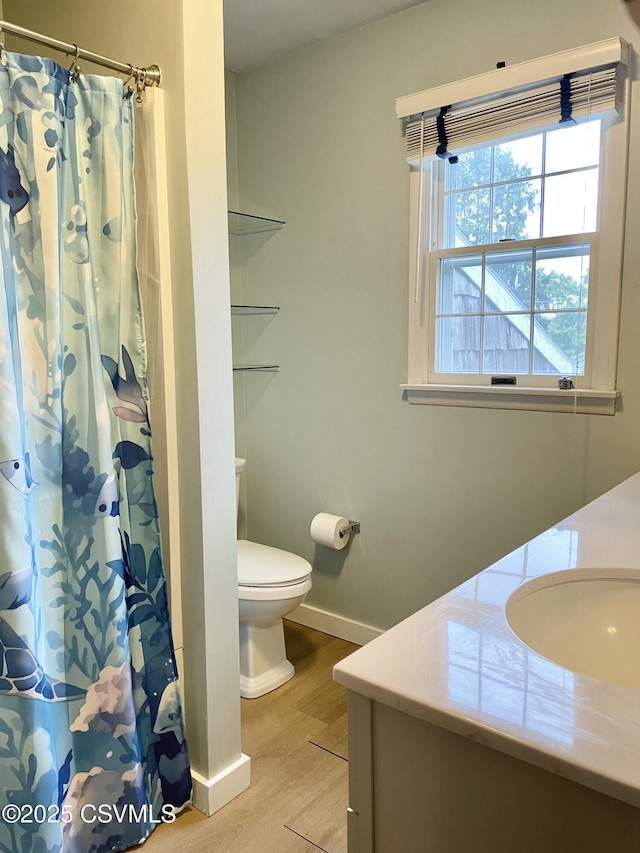 3014 Smoketown Rd, Lewisburg, PA 17837 - bathroom featuring vanity, wood finished floors, baseboards, toilet, and a shower with curtain