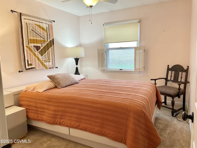 3014 Smoketown Rd, Lewisburg, PA 17837 - view of carpeted bedroom