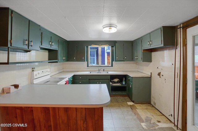 205 N Water St, Selinsgrove, PA 17870 - kitchen with electric range and green cabinets