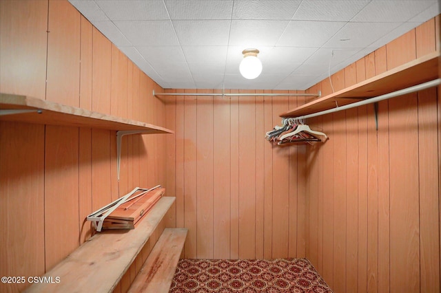 205 N Water St, Selinsgrove, PA 17870 - view of spacious closet