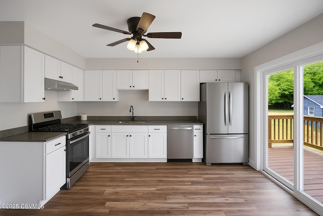 2196 Continental Blvd, Danville, PA 17821 - kitchen with appliances with stainless steel finishes, under cabinet range hood, a sink, dark countertops, and wood finished floors