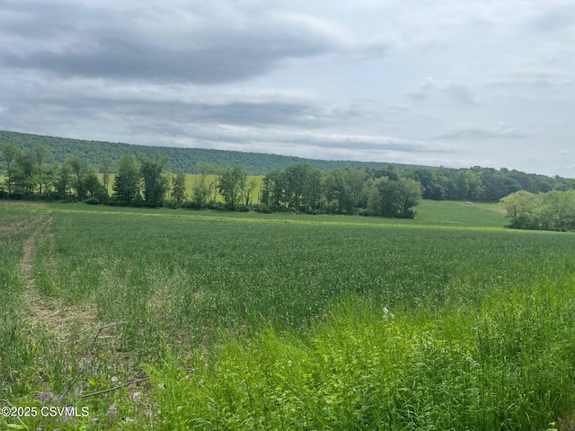 1373 Airport Rd, Paxinos, PA 17860