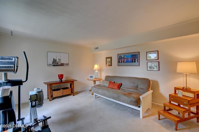 20 Meadowbrook Dr, Selinsgrove, PA 17870 - photo 39