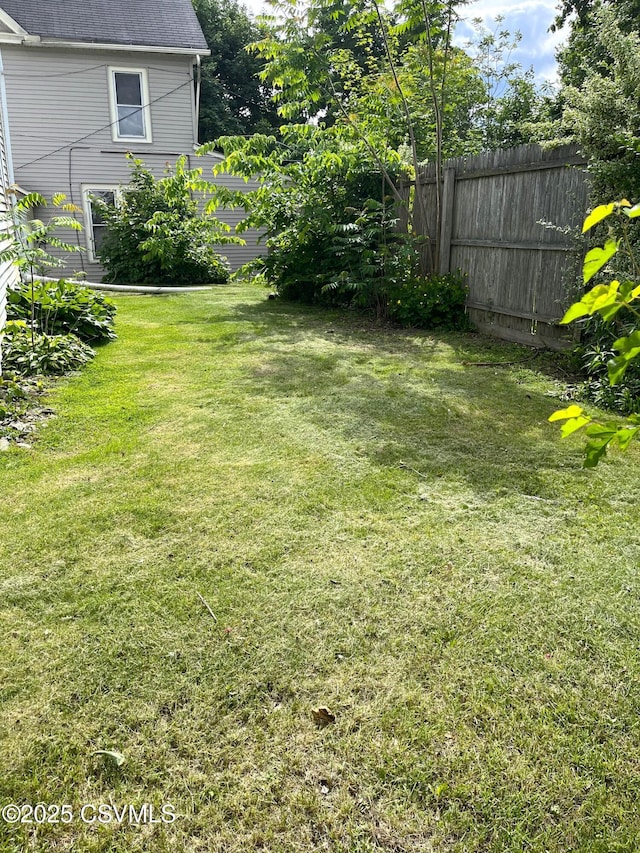433 E 6th St, Berwick, PA 18603 - view of yard