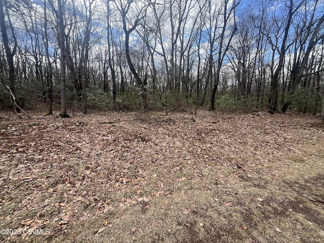 74 & Dr, Catawissa, PA 17820