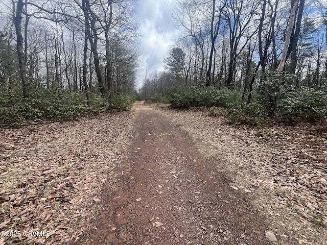 74 & Dr, Catawissa, PA 17820