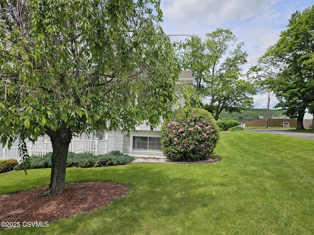 1605 W Montgomery St, Coal Township, PA 17866 - view of yard