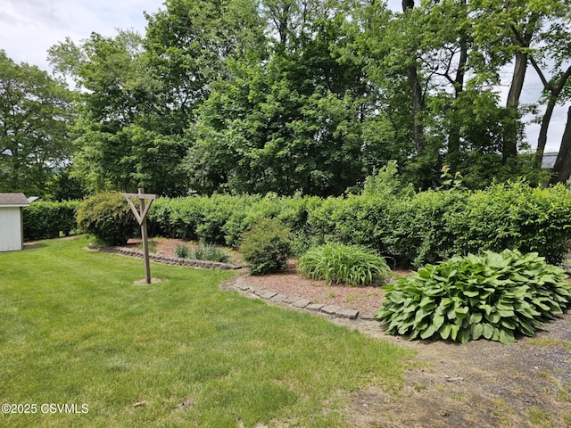 1605 W Montgomery St, Coal Township, PA 17866 - view of grassy yard