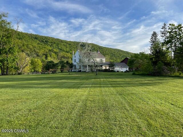 2852 State Route 487, Orangeville, PA 17859 - view of grassy yard