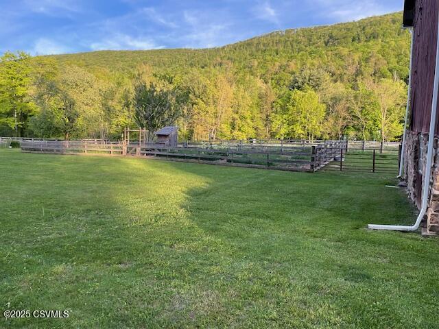 2852 State Route 487, Orangeville, PA 17859 - view of yard featuring a wooded view
