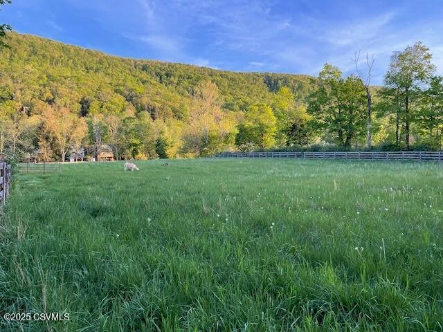 2852 State Route 487, Orangeville, PA 17859 - view of yard with a wooded view and a rural view