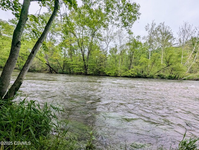 2852 State Route 487, Orangeville, PA 17859 - water view featuring a heavily wooded area
