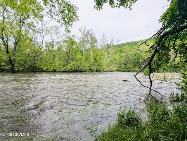 2852 State Route 487, Orangeville, PA 17859 - water view featuring a forest