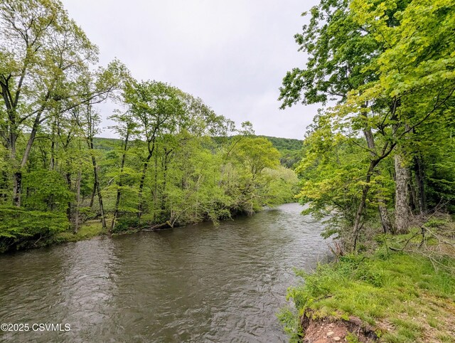 2852 State Route 487, Orangeville, PA 17859 - water view with a heavily wooded area