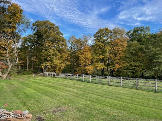 2852 State Route 487, Orangeville, PA 17859 - view of yard